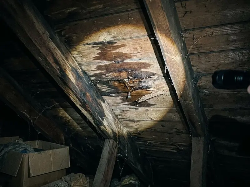 Flashlight beam revealing a water stain and drip on wooden roof decking inside an attic